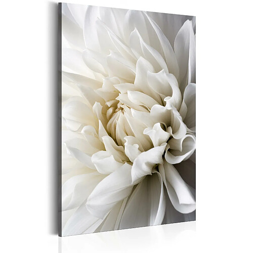 Artgeist Tableau - White Dahlia [40x60]