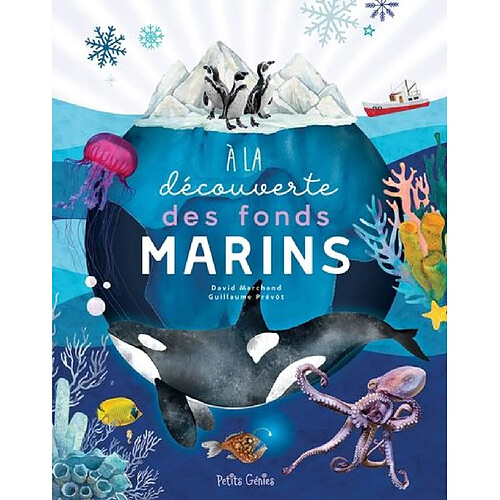 A la découverte des fonds marins