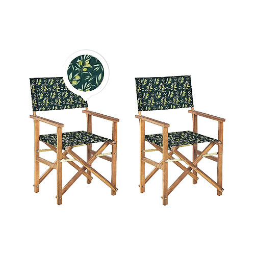 Beliani Chaise de jardin CINE Bois Vert foncé