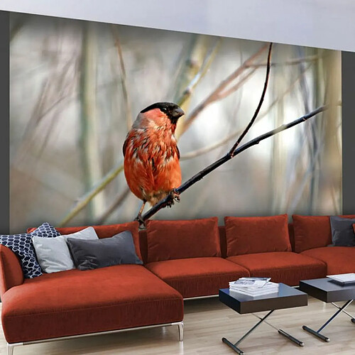 Paris Prix Papier Peint Bullfinch in the Forest 154 x 200 cm