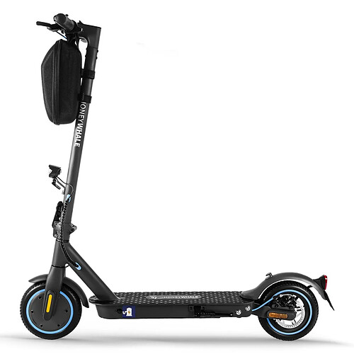 Trottinette électrique Honey Whale E9 Avec Certification ABE - Moteur 330W Batterie 36V7.5AH Autonomie 25KM Freins à Disque Pliable - Noir