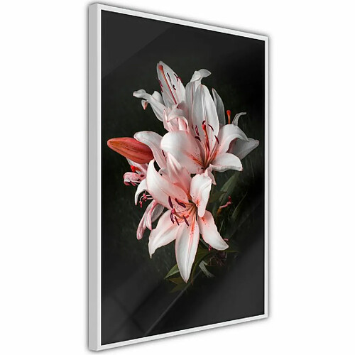 Paris Prix Affiche Murale Encadrée Pale Pink Lilies 30 x 45 cm Blanc