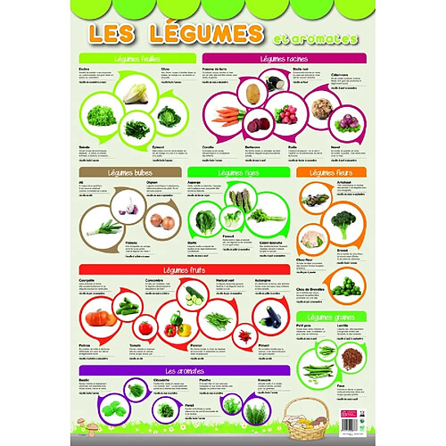 Poster pédagogique - Légumes - 52 x 76 cm