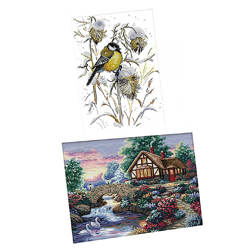 2 ensembles estampés kits de point de croix dimensions pour adultes imprimer oiseaux de paysage