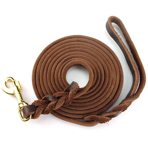 Universal Ceinture