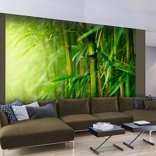 Paris Prix Papier Peint Jungle Bambou 309 x 400 cm