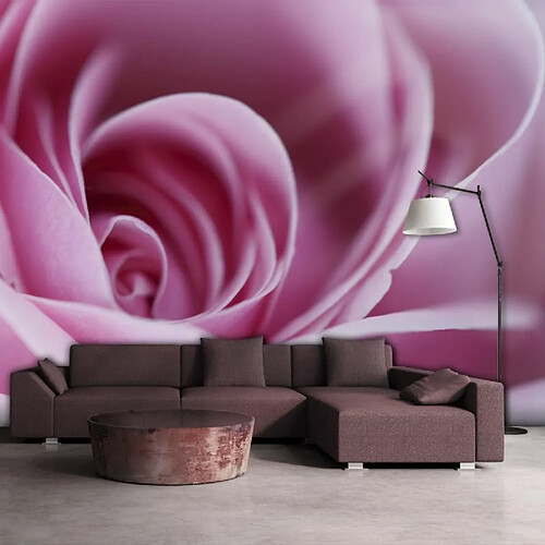 Paris Prix Papier Peint Fleur Rose Rose III 154 x 200 cm