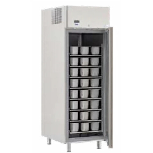 Armoire Réfrigérée Négative à Glace GLT 700 - 650 Litres - Crystal