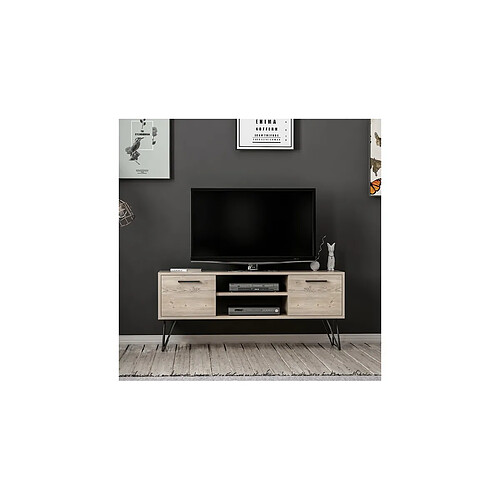 HOMEMANIA Meuble TV Almira Moderne - avec Portes, Étagères - pour Salon - Noir en Bois, 120 x 35 x 50 cm