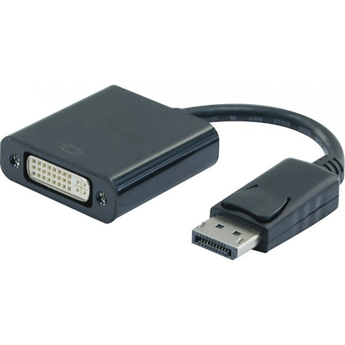 Abi Diffusion Convertisseur DisplayPort vers DVI 20CM