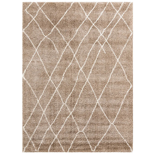 Hadorn Tapis shaggy 395x300 Marron Lachen Fence