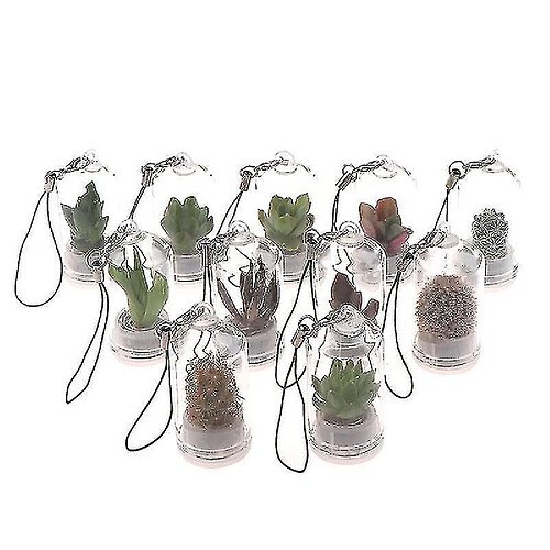 Universal Collier portable miniature cactus bricolage