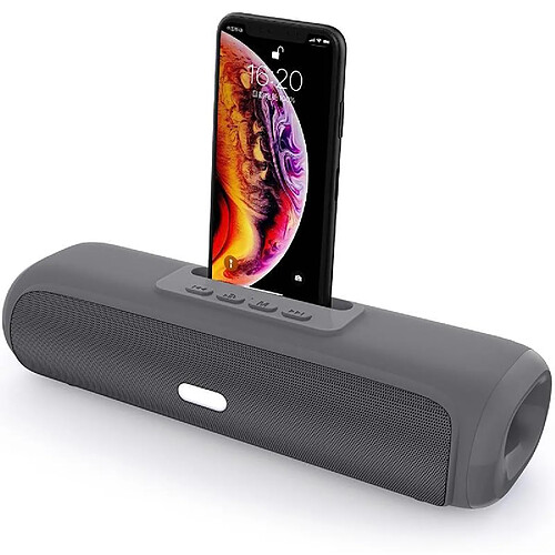 Yonis Enceinte Bluetooth Puissante 10W TWS Support Téléphone