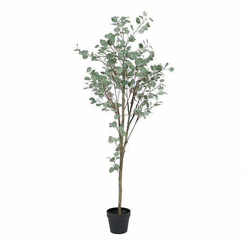 BigBuy Home Plante décorative Polyéthylène Eucalyptus 80 x 82 x 180 cm