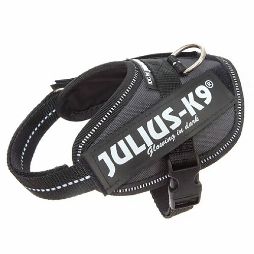 Julius K9 IDC Harnais pour chiens Taille Chiot 2 Anthracite