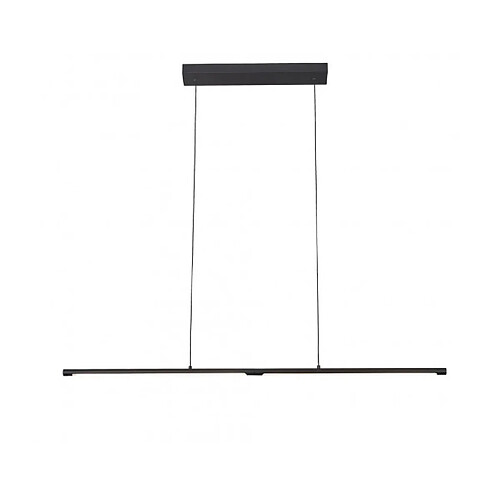 Luminaire Center Suspension Torch Noir 7 Cm