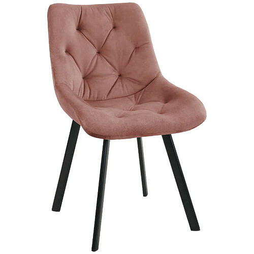 AKORD 1 Pièce chaise matelassée de salle à manger en velours Rose