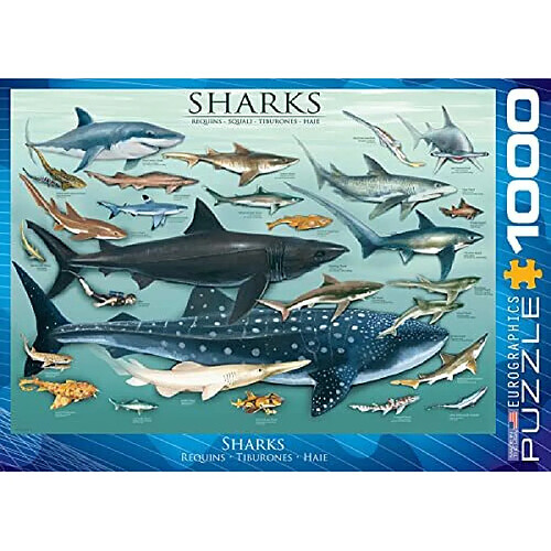 Eurographics Sharks Puzzle 1000 piAces, Bleu