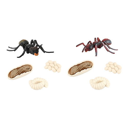 2x Simulation Ant Growth Life Cycle Figures Jouet D'imagination pour Les Enfants