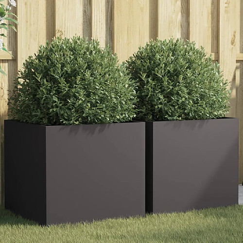 vidaXL Jardinières 2 pcs noir 49x47x46 cm acier