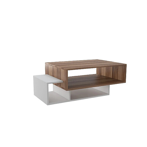 EPIKASA Table Basse Elisa, Noyer, Panneau d'Aggloméré Mélaminé, 100x60x35 cm