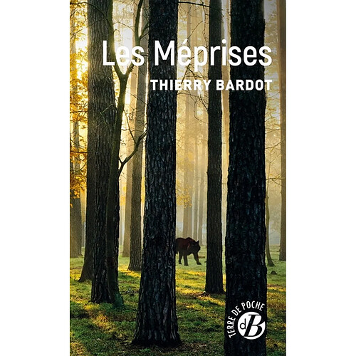 Les méprises · Occasion