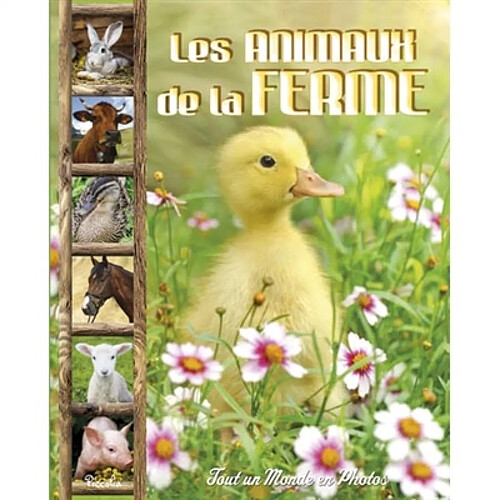 Les animaux de la ferme · Occasion