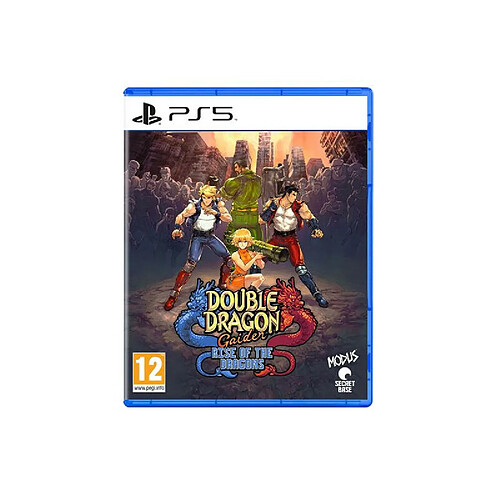 Just For Games Double Dragon Gaiden Rise of the Dragons PS5