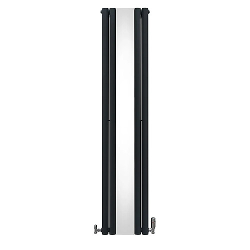 Monstershop Radiateur à Colonne Ovale avec Miroir & Valves - 1800mm x 380mm – Gris Anthracite