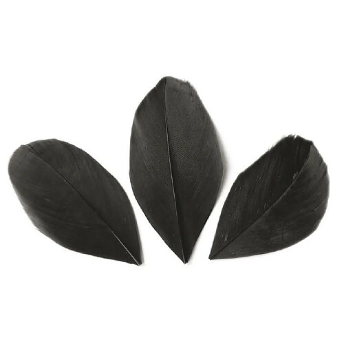 Graines Creatives 50 plumes coupées - Noir 6 cm