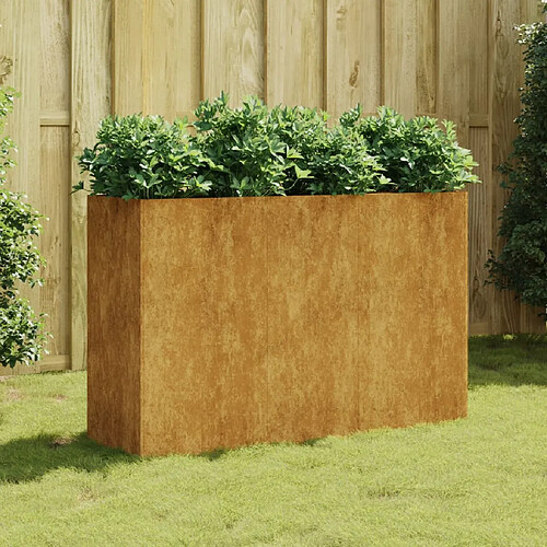 vidaXL Lit surélevé de jardin 120x40x80 cm acier corten