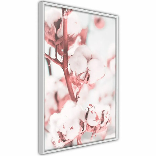 Paris Prix Affiche Murale Encadrée Cotton Flowers 30 x 45 cm Blanc