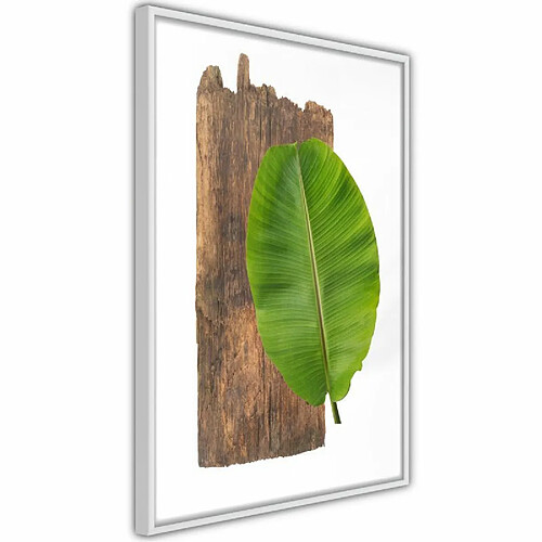 Paris Prix Affiche Murale Encadrée Forest Nature 40 x 60 cm Blanc