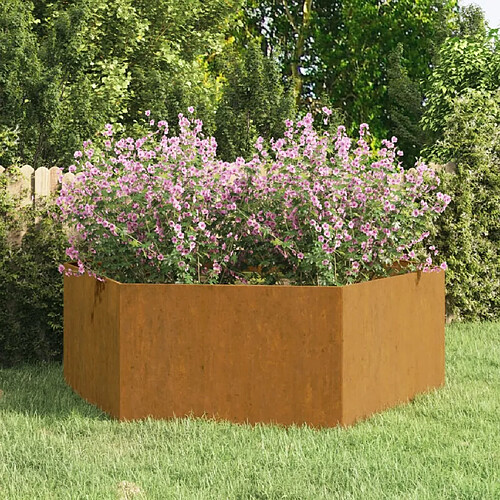 vidaXL Jardinière Rouillé 138x120x45 cm Acier corten