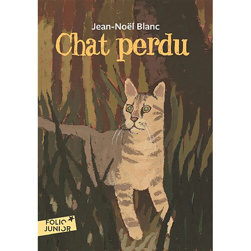 Chat perdu · Occasion