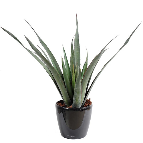 Pegane Plante artificielle haute gamme Spécial extérieur / Aloe artificielle ferox - Dim : 65 x 60 cm