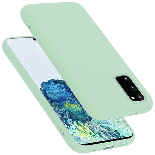 Cadorabo Coque Samsung Galaxy S20 Etui en Vert