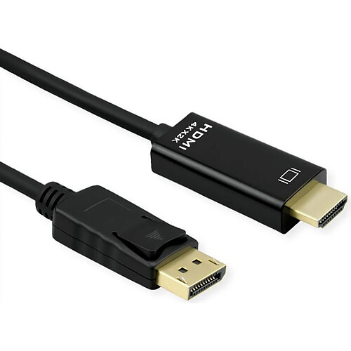 ROLINE 11.04.5996-10 2 m DisplayPort HDMI Schwarz (11.04.5996)