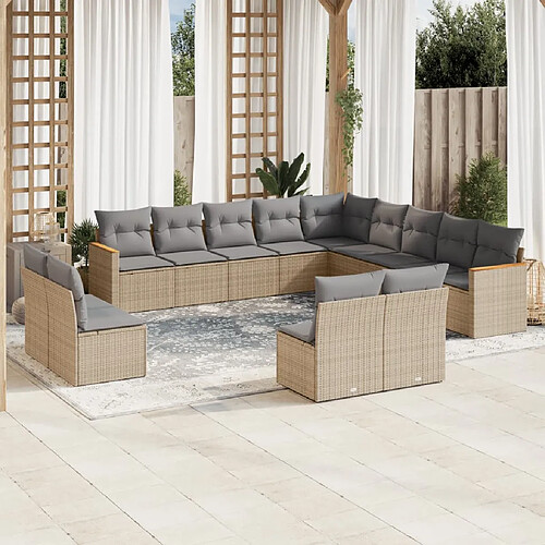 vidaXL Salon de jardin et coussins 13 pcs mélange beige résine tressée