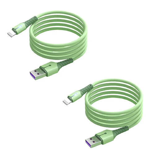 Cables X2 USB Charge Rapide 3A Silicone Vert 2m Pour iPhone 8 / X / XR / 11 / 12 / 13 / SE 2022 Little Boutik®