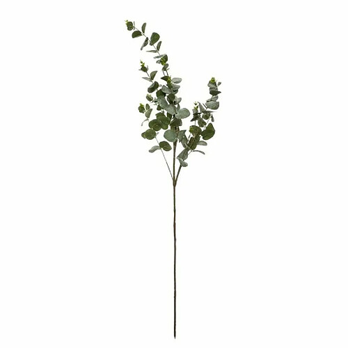 Branche d'Eucalyptus Génération Vintage 98cm Vert