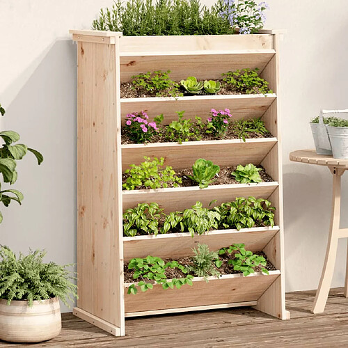 vidaXL Jardinière de plantes aromatiques 6 niveaux bois de pin massif