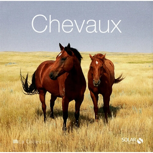 Chevaux · Occasion