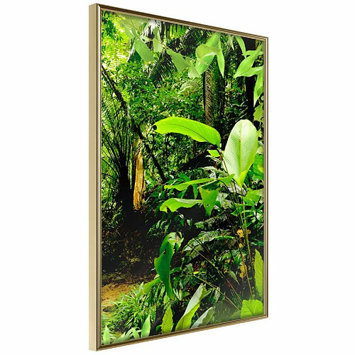 Paris Prix Affiche Murale Encadrée In the Rainforest 20 x 30 cm Or