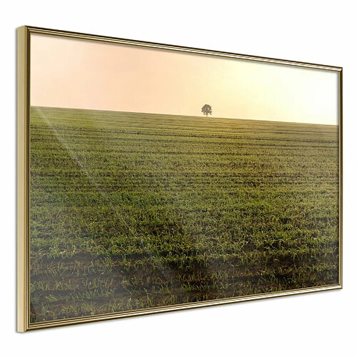 Paris Prix Affiche Murale Encadrée Farmland 60 x 40 cm Or