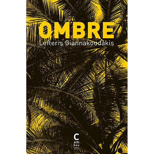 Ombre · Occasion