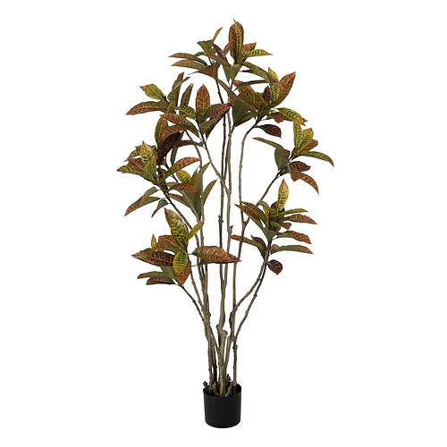 BigBuy Home Plante décorative Caoutchouc polypropylène 60 x 60 x 150 cm