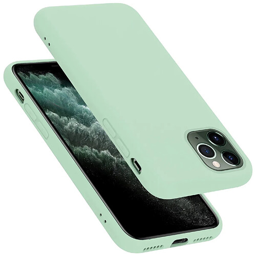 Cadorabo Coque iPhone 11 PRO MAX Etui en Vert