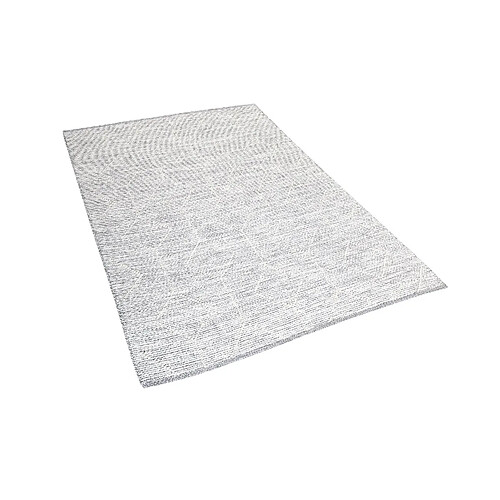 Beliani Tapis gris/beige 140 x 200 cm poil court EDREMIT