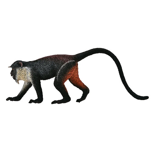 Figurines Collecta Figurine Singe : Cercopithèqu